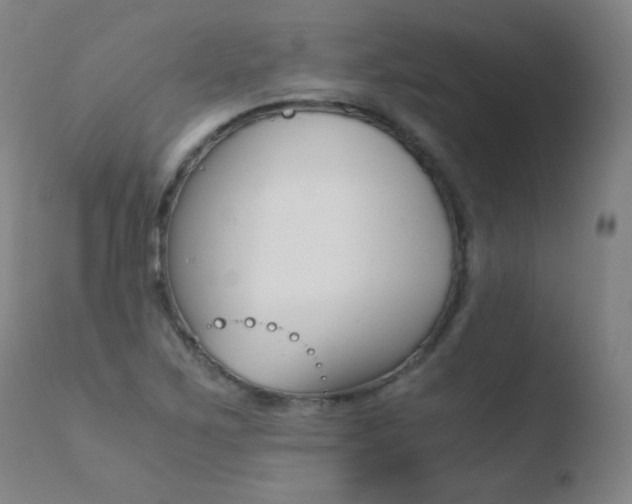 X0000110671267200906121052