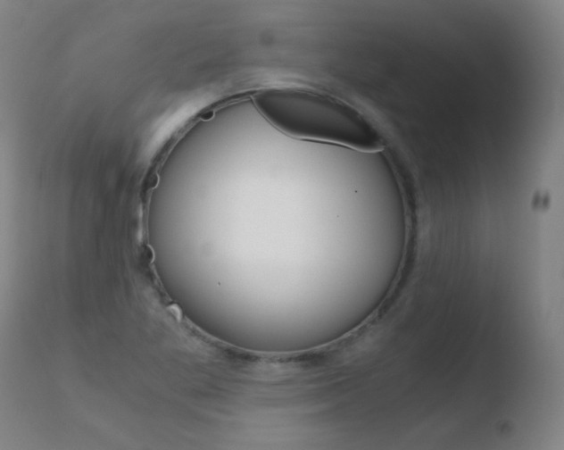 X0000110671269200906121052