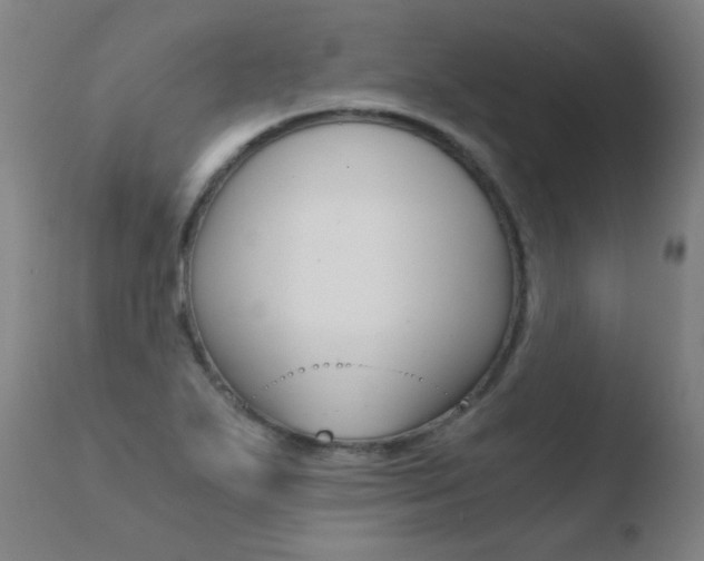 X0000110671271200906121052