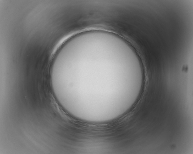 X0000110671272200906121052