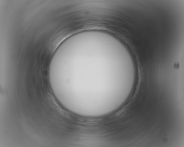 X0000110671273200906121052