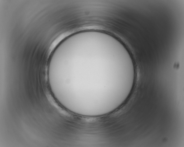 X0000110671274200906121052
