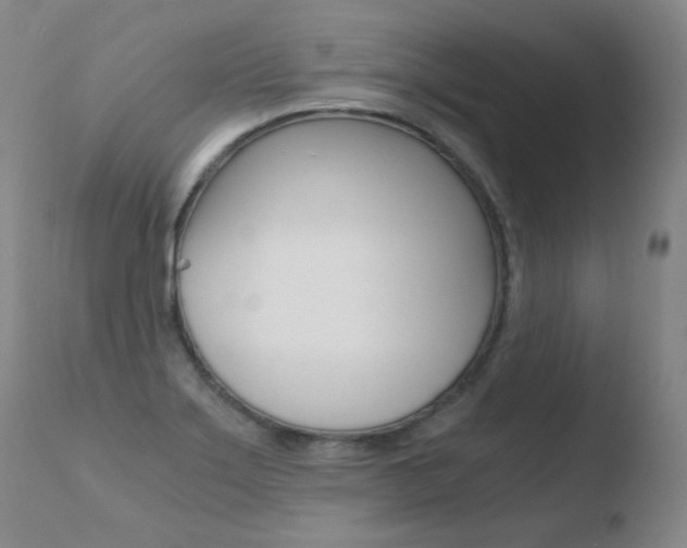 X0000110671275200906121052