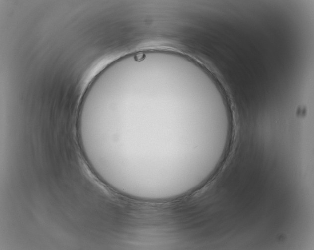 X0000110671277200906121052