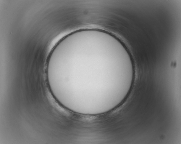 X0000110671278200906121052