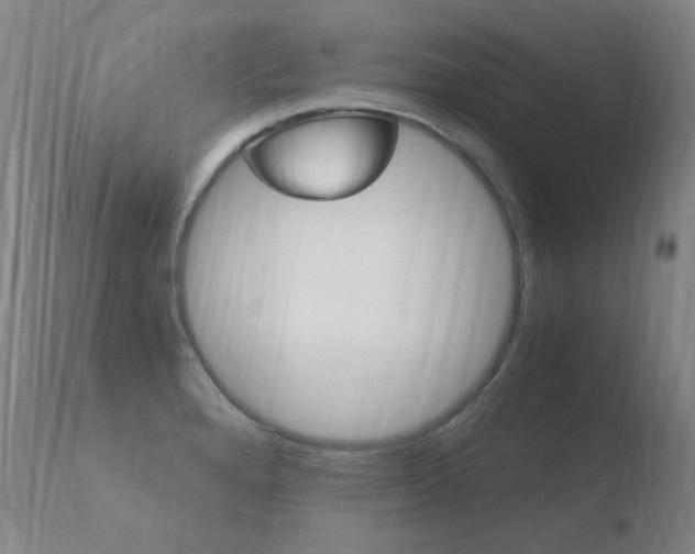 X0000110671280200906121052