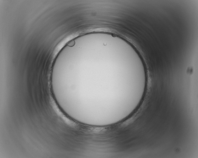 X0000110671282200906121052