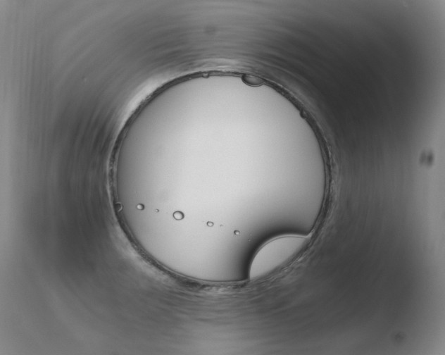 X0000110671283200906121052