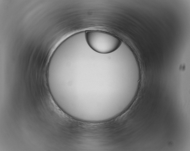 X0000110671284200906121052