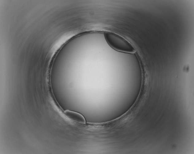 X0000110671285200906121052