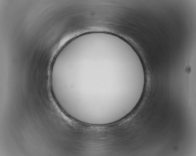X0000110671286200906121052