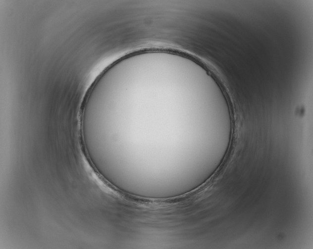 X0000110671287200906121052