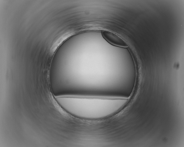 X0000110671289200906121052