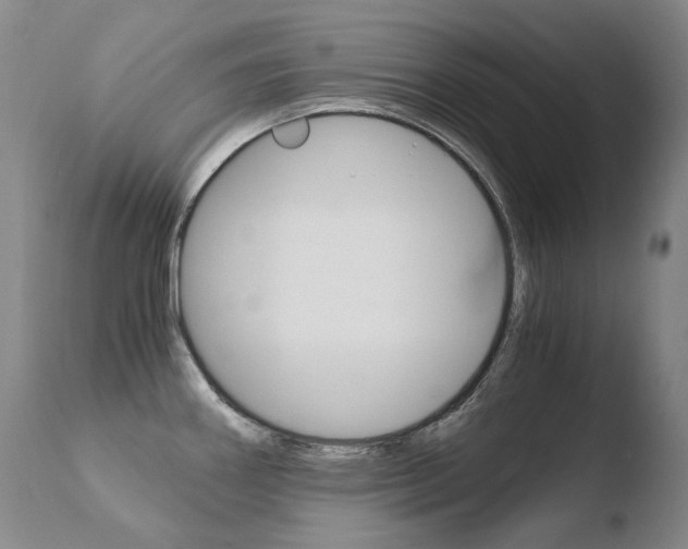 X0000110671290200906121052