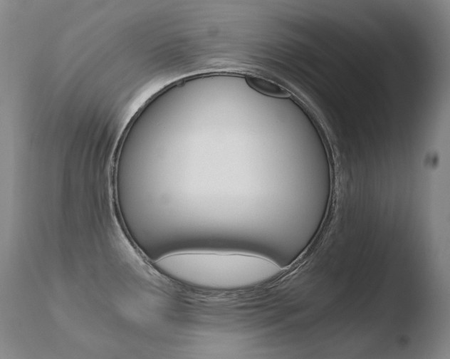 X0000110671291200906121052