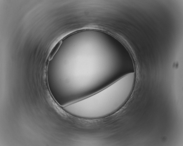 X0000110671292200906121052