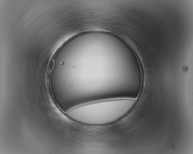X0000110671293200906121052