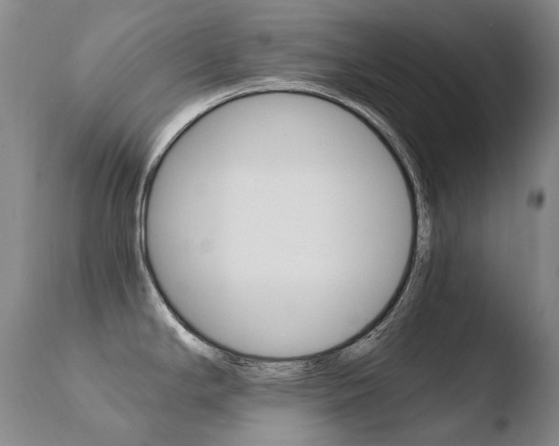 X0000110671294200906121052