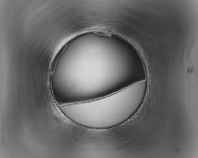 X0000110671296200906121052