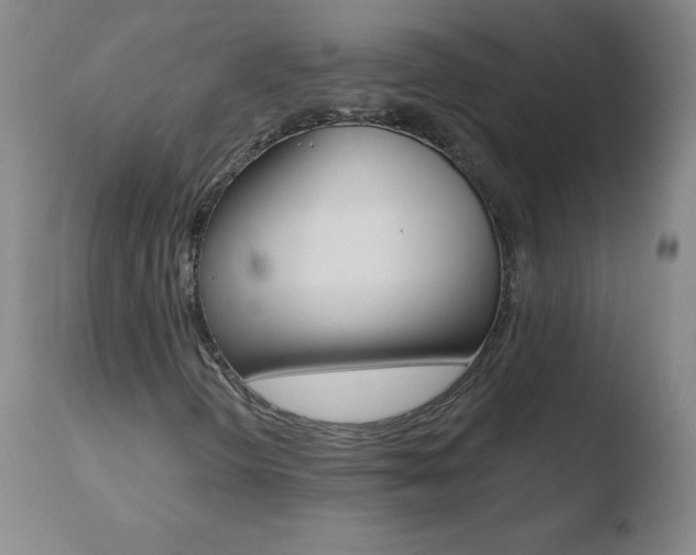 X0000110671298200906121051