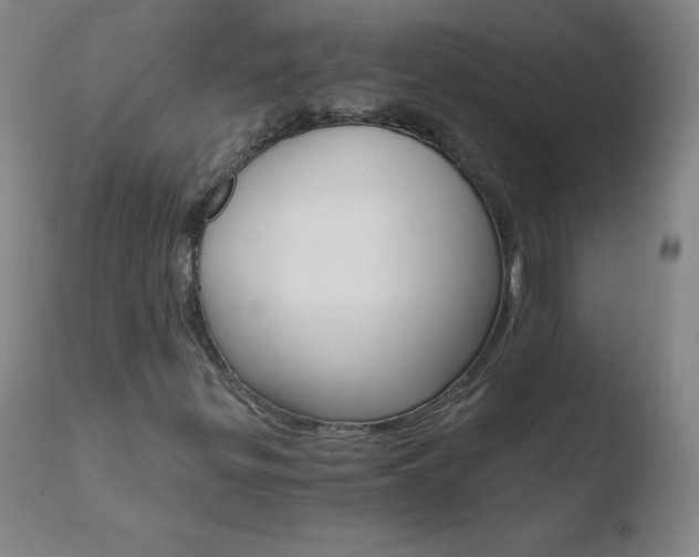 X0000110671299200906121051