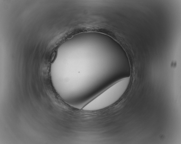 X0000110671300200906121051