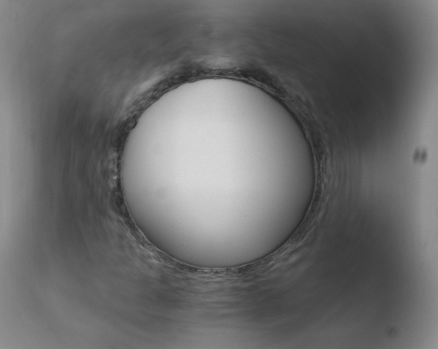X0000110671301200906121051