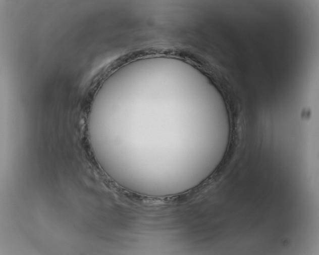 X0000110671302200906121051