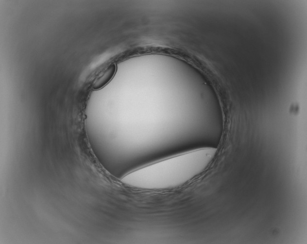 X0000110671303200906121051