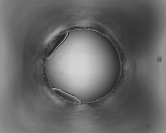 X0000110671304200906121051