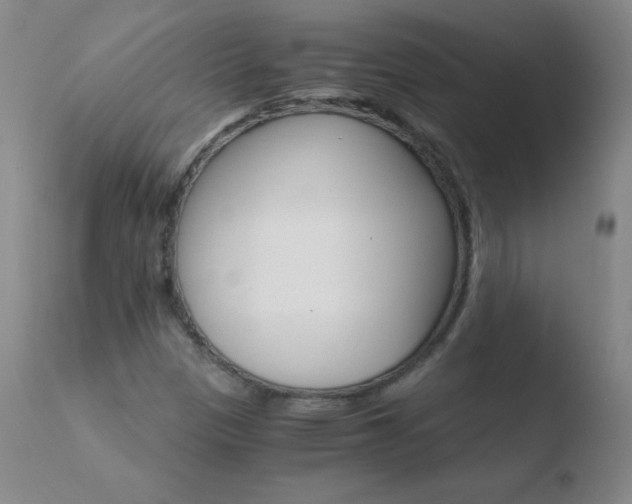 X0000110671305200906121051