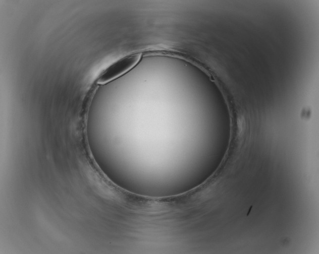 X0000110671308200906121051