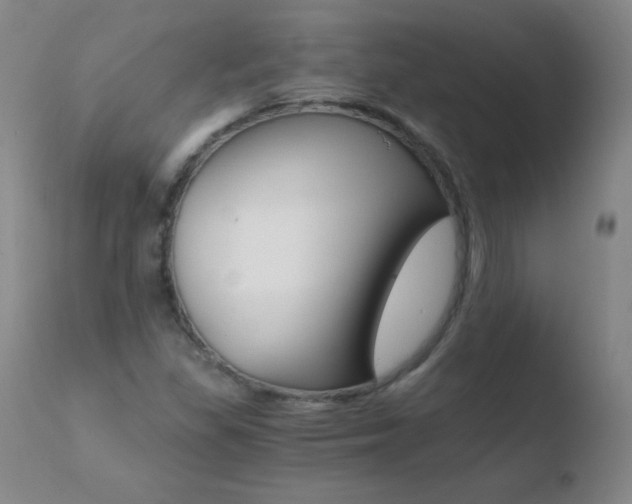 X0000110671309200906121051