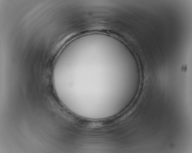 X0000110671313200906121051