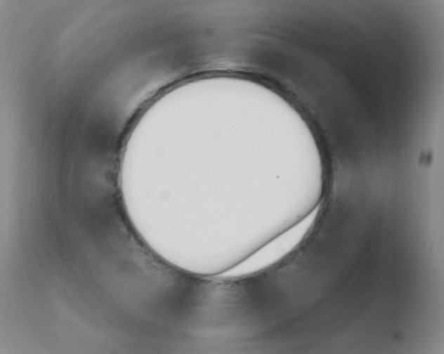 X0000110671314200906121051
