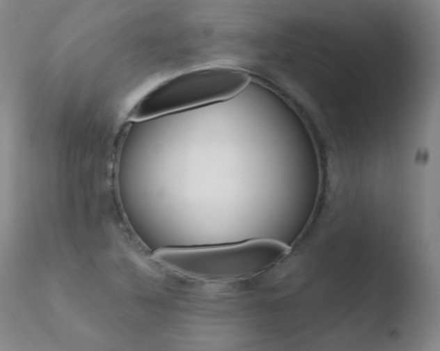 X0000110671316200906121051