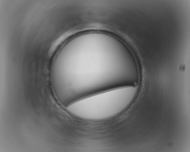 X0000110671318200906121051