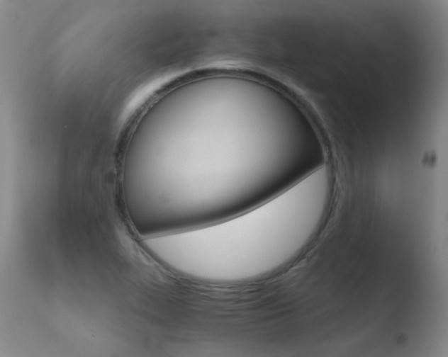 X0000110671319200906121051