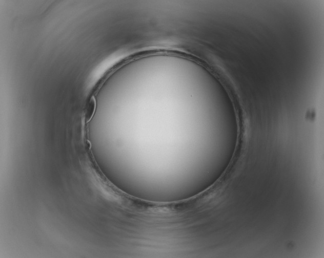 X0000110671320200906121051