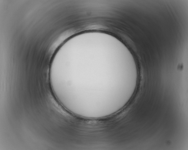 X0000110671322200906121051