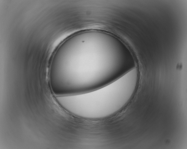 X0000110671324200906121051