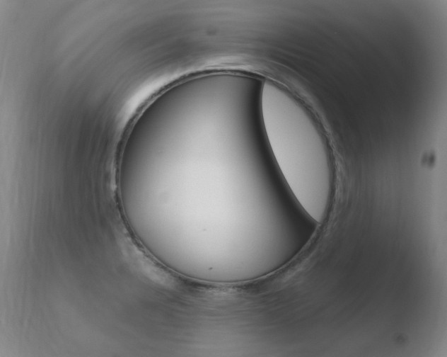 X0000110671328200906121051