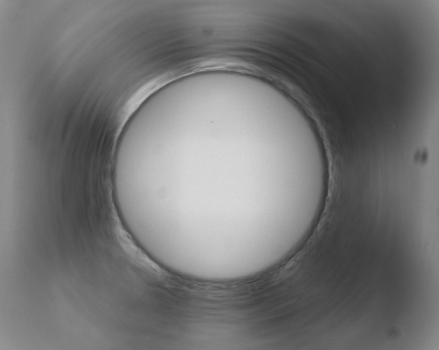 X0000110671330200906121051