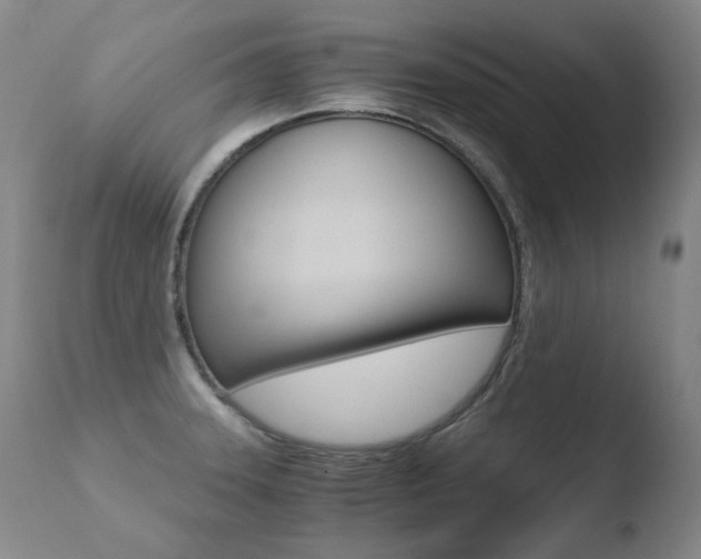 X0000110671331200906121051