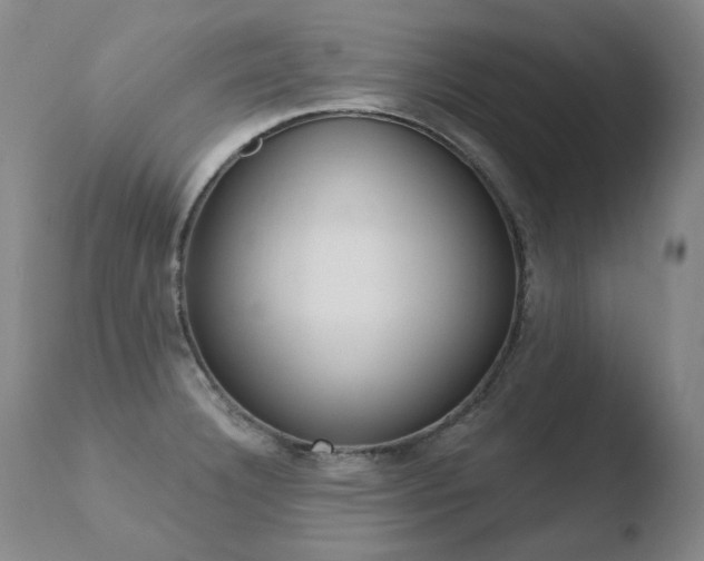 X0000110671332200906121051