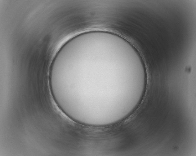 X0000110671334200906121051