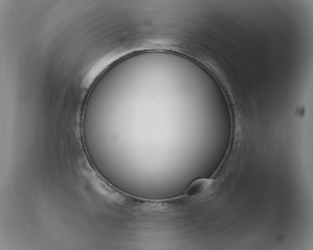 X0000110671336200906121051