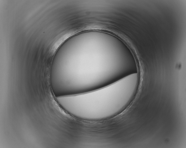 X0000110671337200906121051