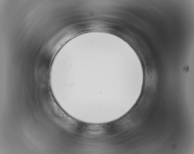 X0000110671338200906121051