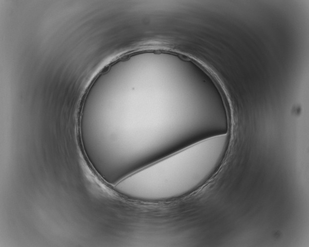 X0000110671341200906121052
